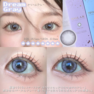 MOLAK 1day Dream Gray モラクワンデー ドリームグレー